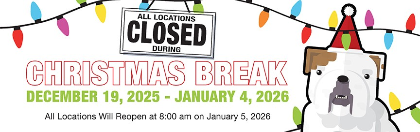 image_2025-12-09_125620100 image_2025-12-09_125620100